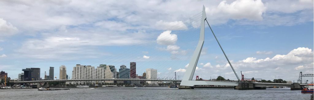 Erasmusbrug Rotterdam uitzicht naar het centrum