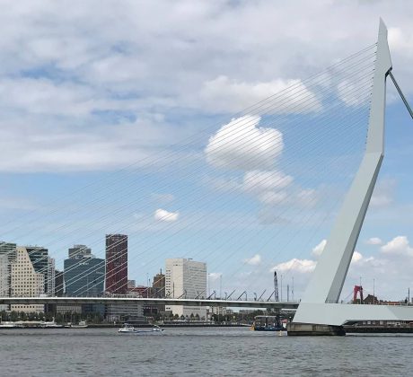 Erasmusbrug Rotterdam uitzicht naar het centrum